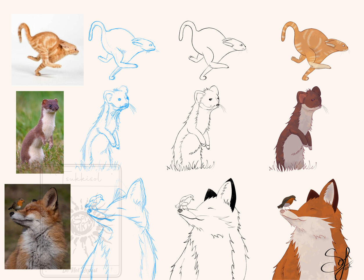 Animal Practice - Cat, Weasel, Fox