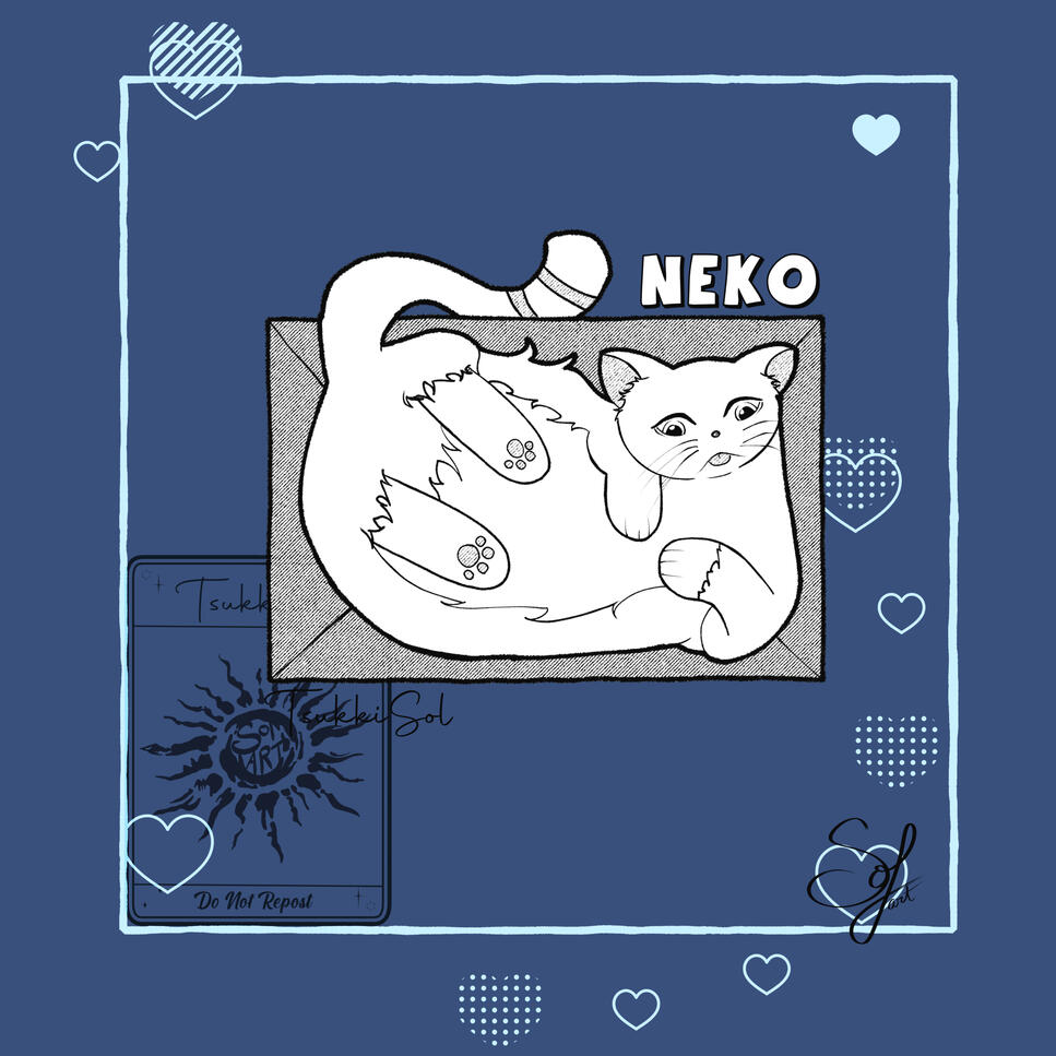 Black and White - cat