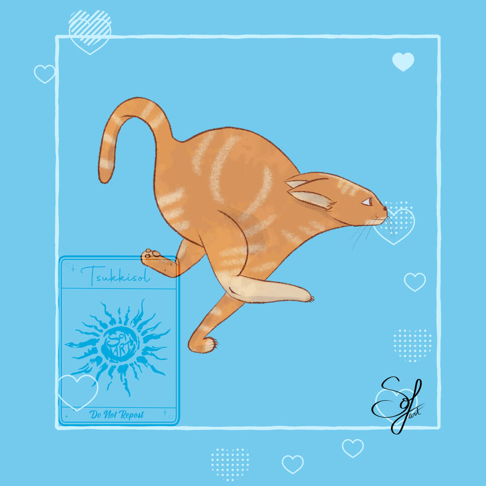 Orange Running - Cat